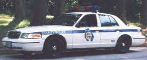 p02-31.jpg